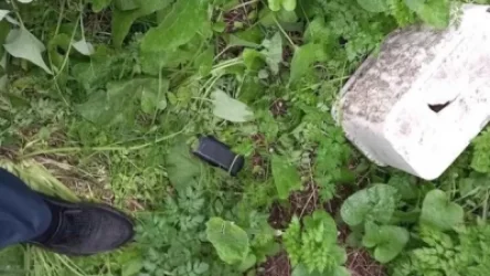 ՏԵՍԱՆՅՈՒԹ. Սևան քաղաքում մի կին տղամարդու հեռախոսը վերցրել ու փախել էր