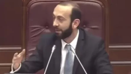 ՏԵՍԱՆՅՈՒԹ.  Էդ զե՞նք եք բերել ԱԺ դահլիճ. Արարատ Միրզոյանը՝ Գորգիսյանին