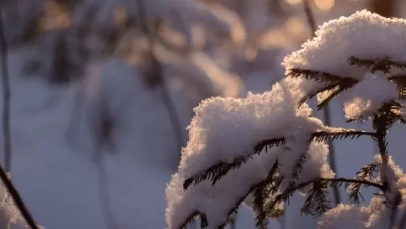 Սյունիքի, Վայոց ձորի մարզերում ձյուն է տեղում