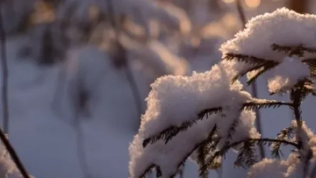 Սյունիքի, Վայոց ձորի մարզերում ձյուն է տեղում