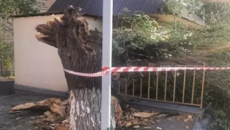 Երեկվա քամին վնասներ է հասցրել