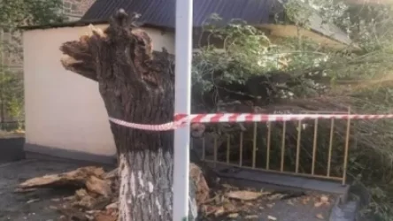 Երեկվա քամին վնասներ է հասցրել