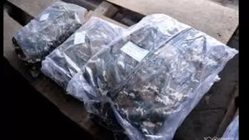 Նոր որակի ձմեռային դաշտային համազգեստ զինվորներին