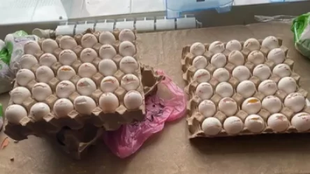 Գյումրիի դպրոցում հայտնաբերված ժամկետանց սննդամթերքը ոչնչացվել է. ՍԱՏՄ