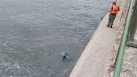 Հայտնաբերվել է Արգինա գյուղի մոտակայքի ջրանցքն ընկած 19-ամյա երիտասարդի դին