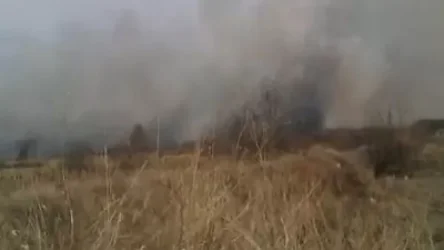 Այգեհովիտ գյուղում հրդեհ է բռնկվել. դեպքի վայրում են փրկարարները