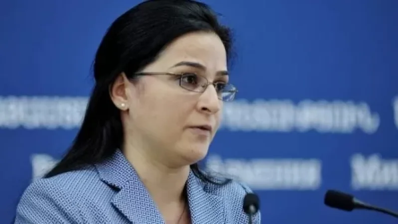 ԱԳՆ խոսնակը` Դավիթ Շահնազարյանի հայտարարությունների մասին