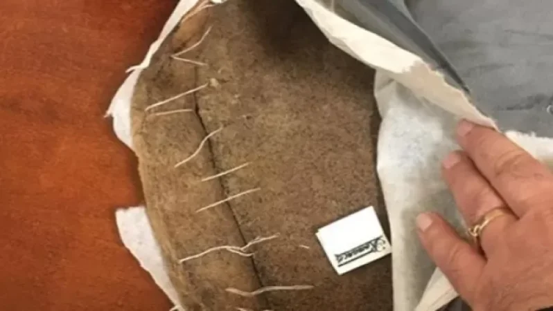 ՊԵԿ-ը կանխել է Հայաստանի տարածքով թմրանյութի տարանցիկ փոխադրման փորձ