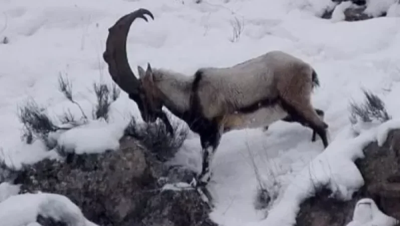 «Արփա» պահպանվող լանդշաֆտին հատկացվել է 29,7 մլն դրամ