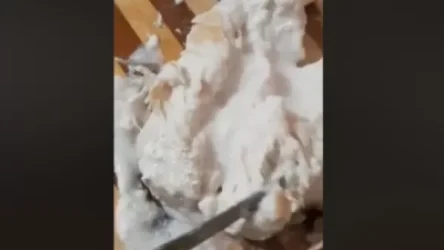 Այս պահին սպառողն ինքն էլ չի նշում, թե որ ընկերության մասին է խոսքը. ՍԱՊԾ-ն` տեղական գարշահոտ հավերի մասին