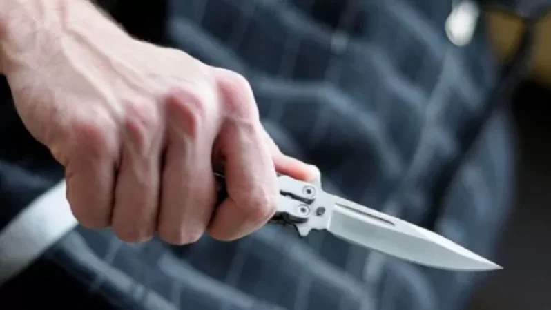 Սպանություն Առինջ գյուղի «Ծիրանի այգի» ռեստորանում. խնջույքը վերածվել է ծեծկռտուքի. կա 1 զոհ, 1 վիրավոր. Shamshyan. com