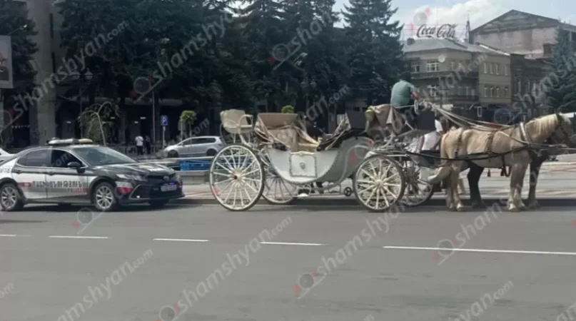 Պարեկները ձիու կողմից վնասված 7-ամյա աղջկան շտապ հասցրել են Գյումրիի մանկական ԲԿ