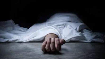 Փրկարարները հայտնաբերել են տանտերերի դիերը