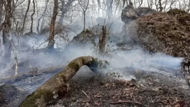 Արծվաբերդի անտառտնտեսության տարածքում խոշոր հրդեհ է բռնկվել