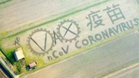 Իտալացի նկարիչը կորոնավիրուս Է պատկերել դաշտում