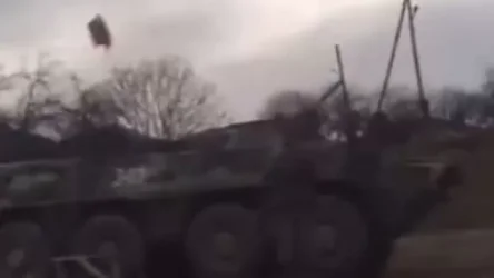 ՏԵՍԱՆՅՈՒԹ. Ադրբեջանցիները կտրել են Գորիս-Կապան ավտոճանապարհի հարակից անտառների ծառերը՝ վաճառելով փայտը