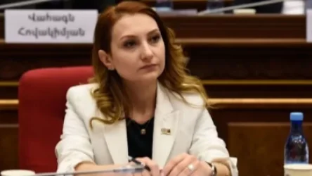 Մեր կողմից արտահերթ ընտրությունների անցկացման առաջարկը դրական արձագանք չի ստացել. Մակունց