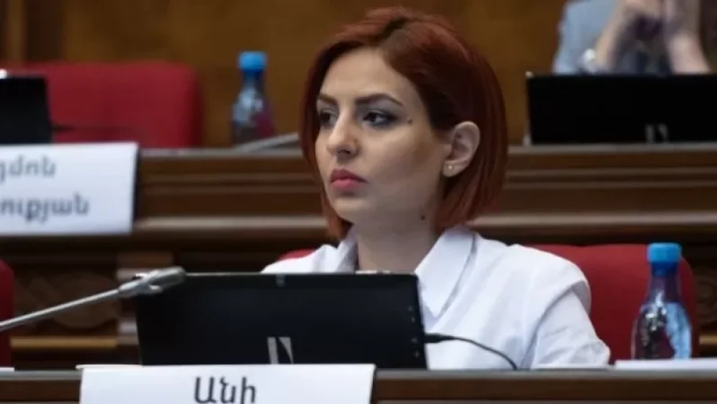 The Government is Also Punishing Ararat Mirzoyan, Says Ani Samsonyan