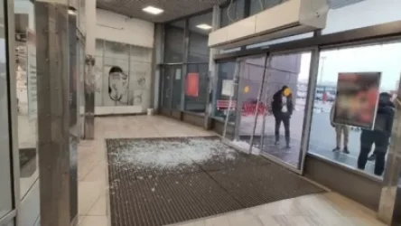 ՏԵՍԱՆՅՈՒԹ. Սանկտ Պետերբուրգում վարազը ներխուժել է սուպերմարկետ և կոտրել ապակե դռները