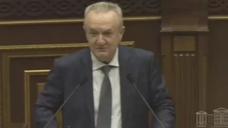 Ռասիստական գնահատական միջազգային դատարաններում կհնչեցնեք. բանավեճ նախարարի և պատգամավորի միջև