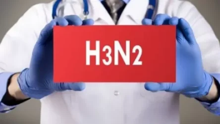 Հայաստանում հայտնաբերվել են գրիպի Ա տիպի H3N2 ենթատիպի վիրուսներ. նախարարություն