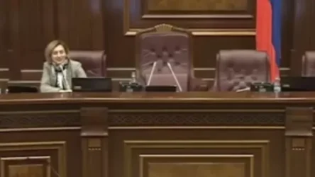 ՏԵՍԱՆՅՈՒԹ․ ԱԺ-ում Լենա Նազարյանը Արփինե Դավոյանին շփոթեց Արփինե Հովհաննիսյանի հետ