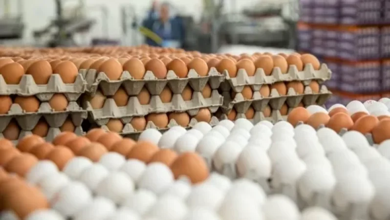 ՏՄՊՊՀ-ն՝ ձվի գնի նվազման մասին