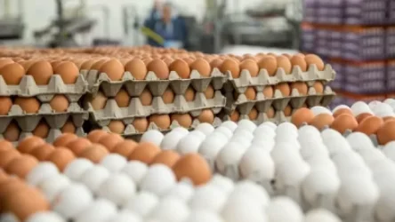 ՏՄՊՊՀ-ն՝ ձվի գնի նվազման մասին