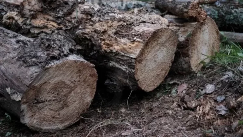 Ինչո՞ւ է Լոռու մարզի դատախազը դիմել ոստիկանություն