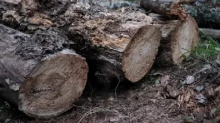 Ինչո՞ւ է Լոռու մարզի դատախազը դիմել ոստիկանություն