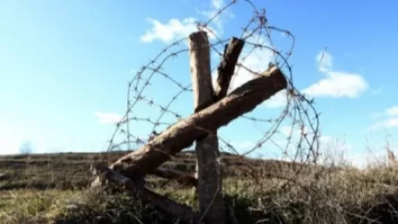 Խնձորեսկի սահմանի մոտ ադրբեջանցիները 173 գլուխ ոչխար են տարել. բանակցություններից հետո վերադարձրել են