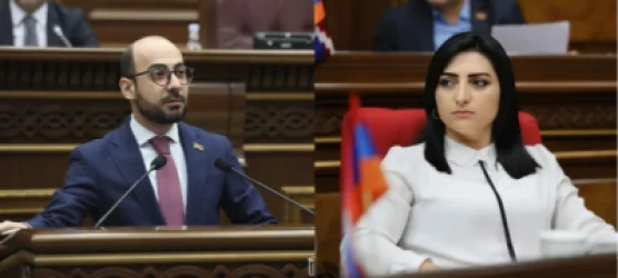 Թագուհի Թովմասյանն Արթուր Հովհաննիսյանից պահանջում է թմրամիջոցների թեստ հանձնի