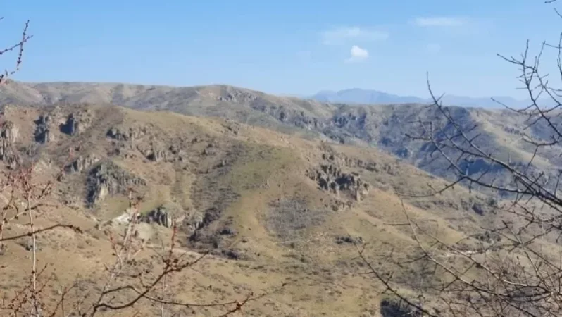 Անհրաժեշտ է երաշխավորել Սյունիքում գյուղացիների իրավունքները. ՄԻՊ-ը՝ ադրբեջանցիների կողմից խնձորեսկցու 173 գլուխ ոչխարը տանելու մասին