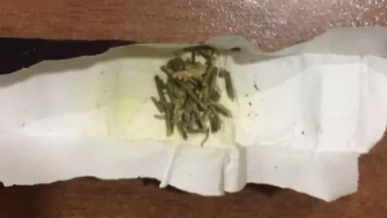 «Դատապարտյալների հիվանդանոց»-ից տեղափոխված անձի խուզարկությամբ հայտնաբերվել է մարիխուանա