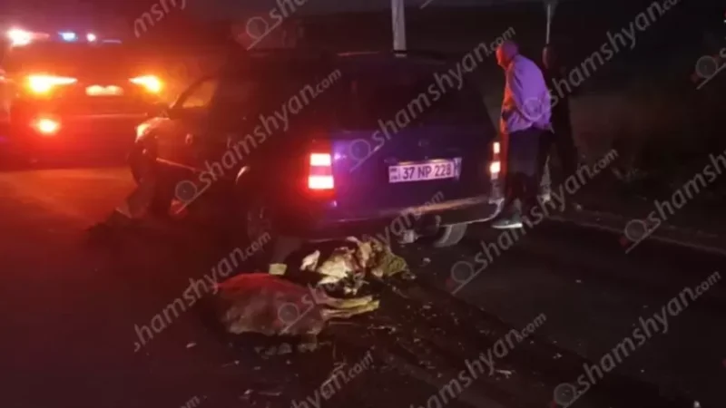 Արտակարգ դեպք Գեղարքունիքի մարզում. Opel-ը մխրճվել է ոչխարի հոտի մեջ