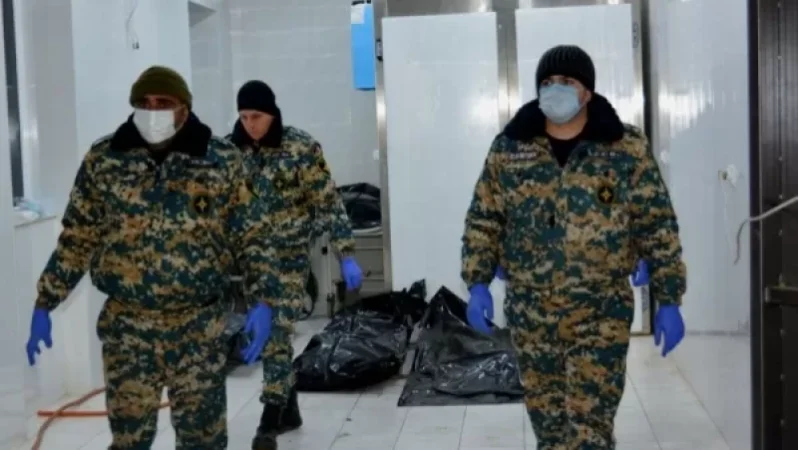 Ադրբեջանի կողմից փոխանցված դիերի թիվը աննախադեպ էր. Հունան Թադևոսյան . Sputnik Արմենիա