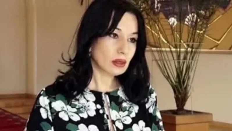 Փոքր կիլկիներն են ենթարկվել պատասխանատվության. Նաիրա Զոհրաբյան՝ բանակում կատարվողի մասին