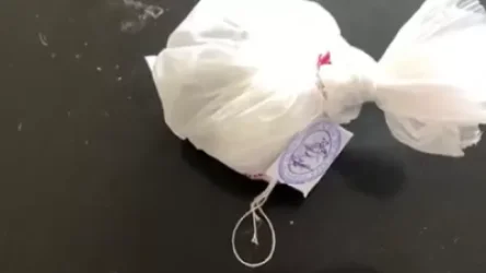 ՏԵՍԱՆՅՈՒԹ. Տաշիրի ոստիկանները առանձնապես խոշոր չափերի մարիխուանա են հայտնաբերել