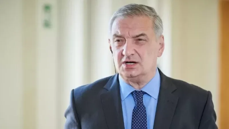 «Վրաստանը կարող է հաջող միջնորդ դառնալ Ադրբեջանի և Հայաստանի միջև». խորհրդարանի փոխխոսնակ