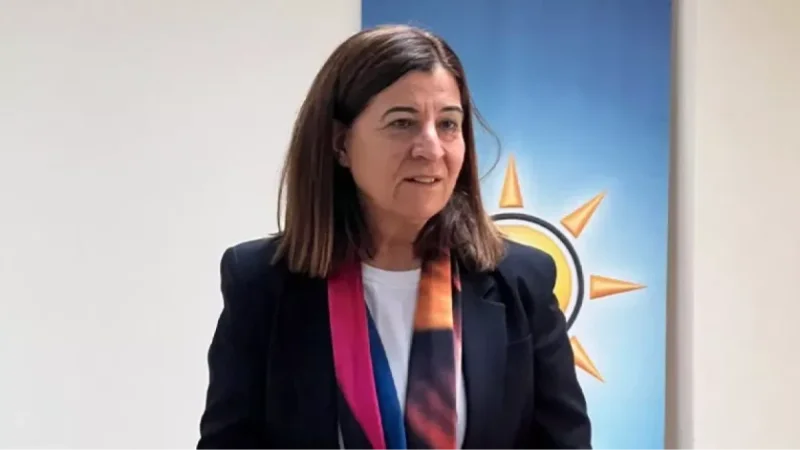 Թուրք պատգամավորը՝ Հայաստանի, Թուրքիայի, ինչպես նաև Ադրբեջանի միջև սահմանների բացման մասին