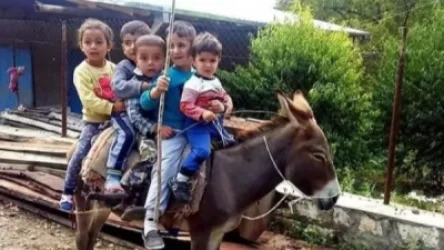 Արցախցի ձագերը. Աննա Հակոբյանը լուսանկար է հրապարակել