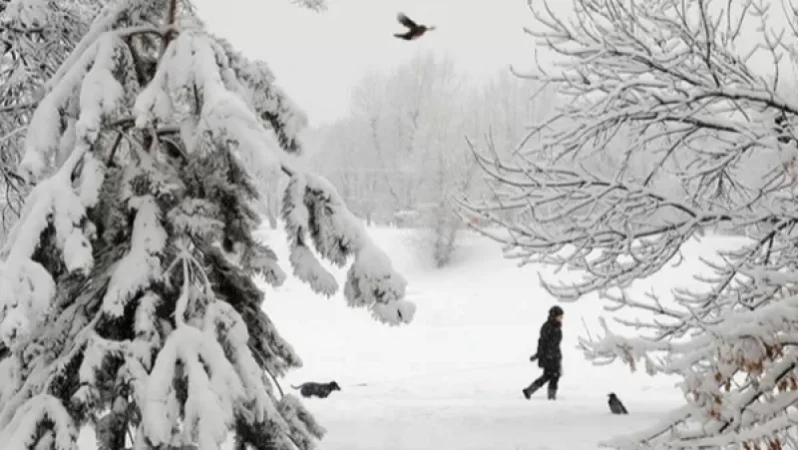 Ե՞րբ կրկին ձյուն կտեղա. եղանակի տեսություն