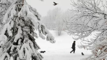 Ե՞րբ կրկին ձյուն կտեղա. եղանակի տեսություն