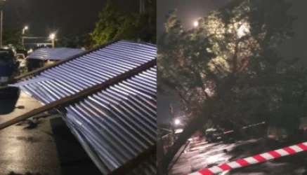 ԼՈՒՍԱՆԿԱՐՆԵՐ․ Երկաթե թիթեղը՝ գազատար խողովակի վրա, ծառն՝ էլեկտրական լարերի․ երեկվա քամու հետևանքները