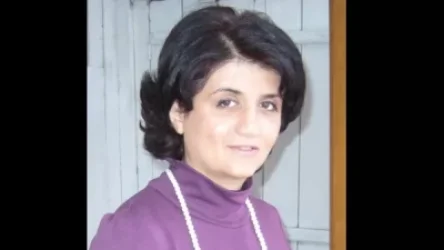 Ինչո՞ւ են դադարեցվել որոնողական աշխատանքները. պարզաբանում է ԱՀ նախագահի խոսնակը. Analitik. am