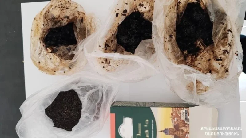 Կանխվել է թմրամիջոցների նմանվող զանգվածների ներթափանցումը. «Սևանի» ՔԿՀ