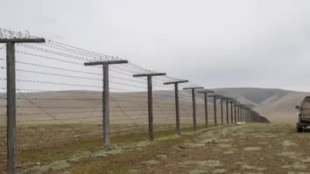 ՀՀ սահմանը խախտողներն ազատվում են պատժից. կառավարությունն առաջարկում է խստացնել օրենքը