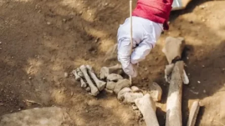 Իտալիայում Վեզուվի ժայթքման ժամանակ մահացած տղամարդու մնացորդներ են գտել