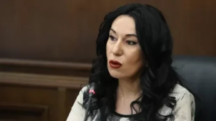 Չփորձե՛ս ուժ կիրառել ժողովրդի վրա, Նիկո՛լ, կա՛նգ առ. Նաիրա Զոհրաբյան