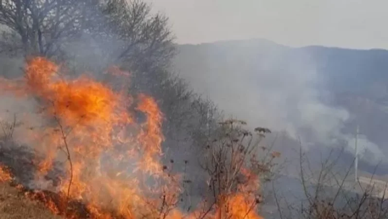 Fire Breaks Out in Central Part of Darbnik Village in Ararat Province